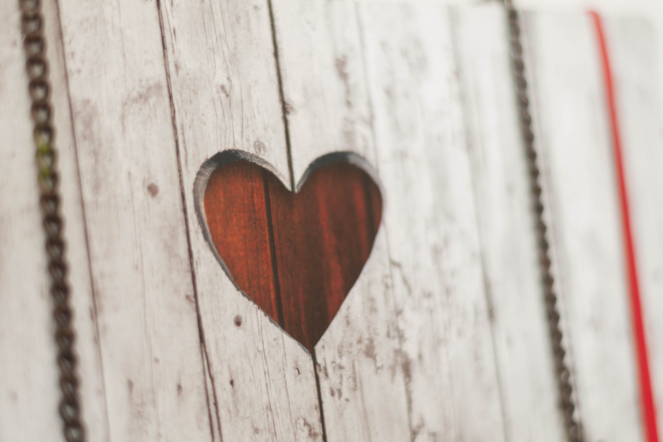 CHRIS_HASIBEDER_DSC7184