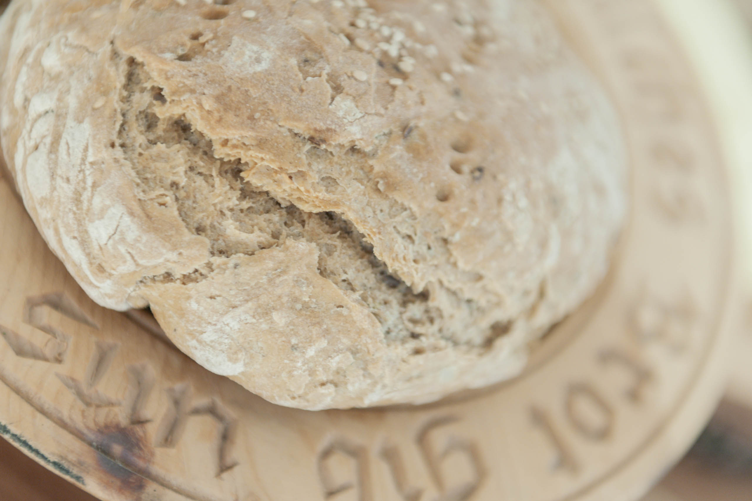 CHRIS_HASIBEDER_DSC7367